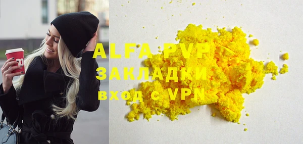 прущие грибы Медвежьегорск