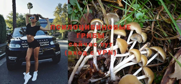 марки nbome Медногорск