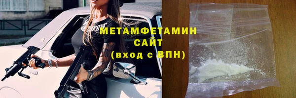 прущие грибы Медвежьегорск