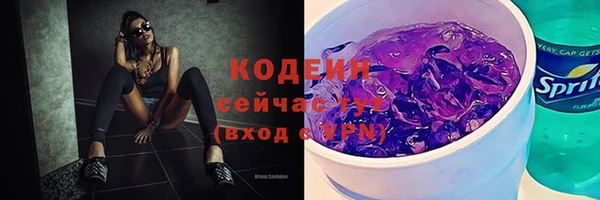 прущие грибы Медвежьегорск