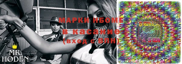 прущие грибы Медвежьегорск