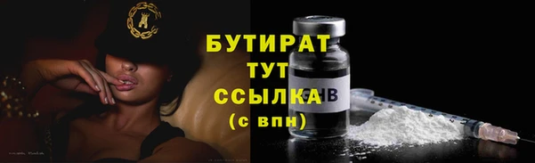 прущие грибы Медвежьегорск