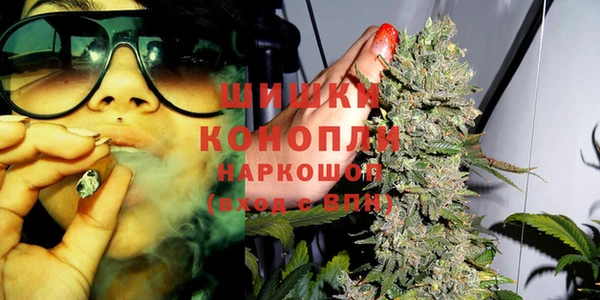 тгк Кохма