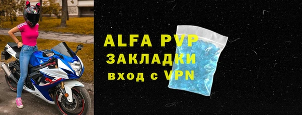 прущие грибы Медвежьегорск