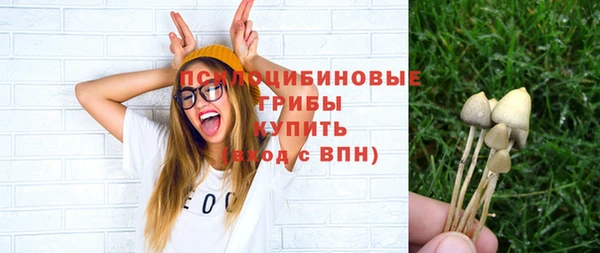 прущие грибы Медвежьегорск