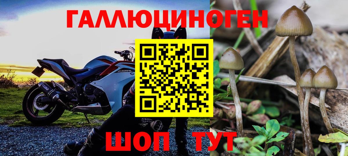 Саранск  Галлюциногенные грибы MAGIC MUSHROOMS  Галлюциногенные грибы Cubensis  Вход с VPN 