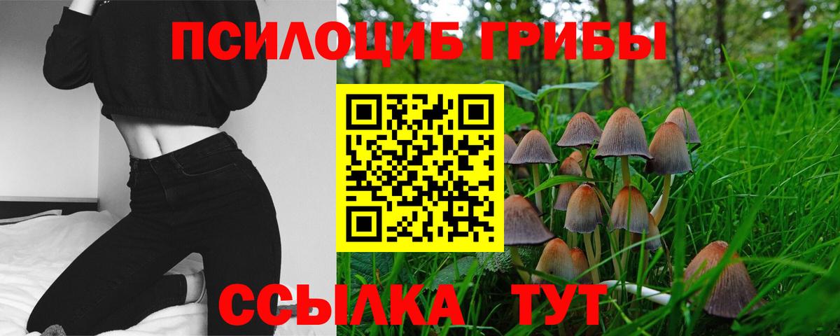 Псилоцибиновые грибы мухоморы Саранск
