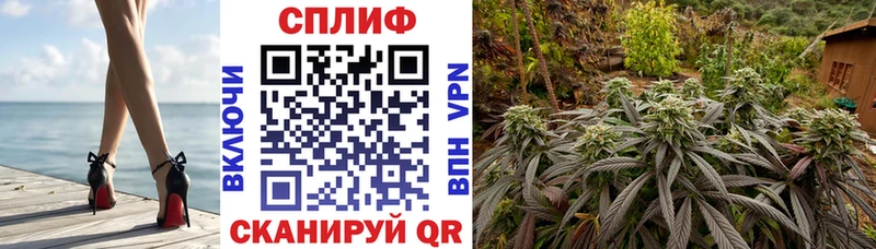 как найти наркотики  Саранск  Конопля тримм 